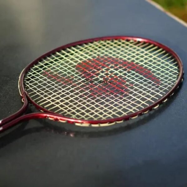 Double shaft badminton racket – net zoom view