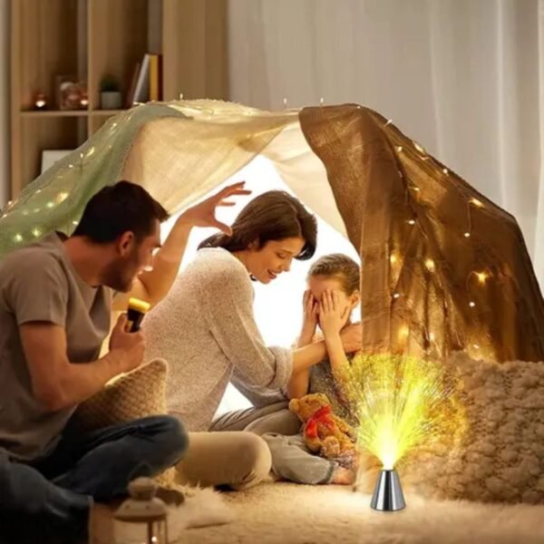 LED fiber optic nightlight – indoor lit display